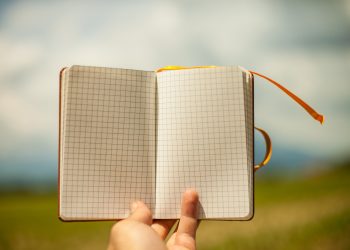 Wat is een GGD Inspectie?