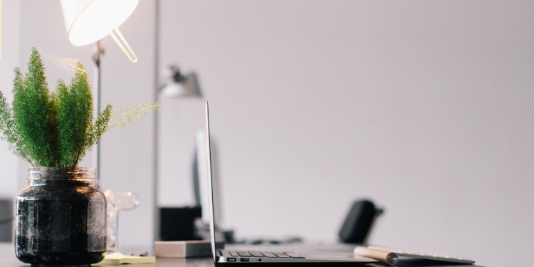 Workshop ‘Hoe doe je dat nou, werk en zorg verdelen?’