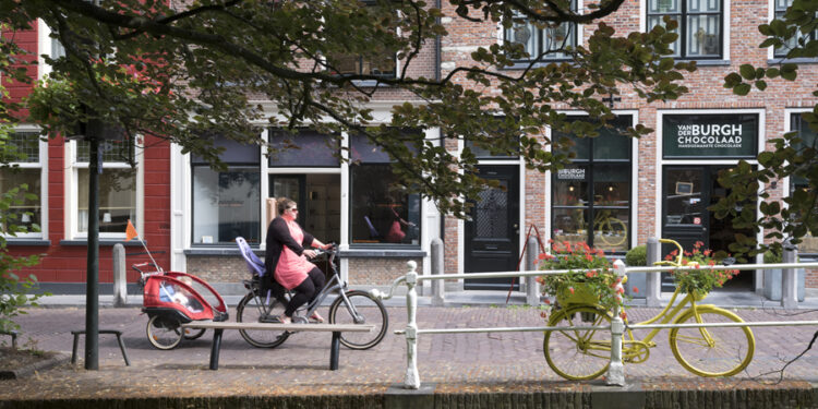 peiling staat van het gezin